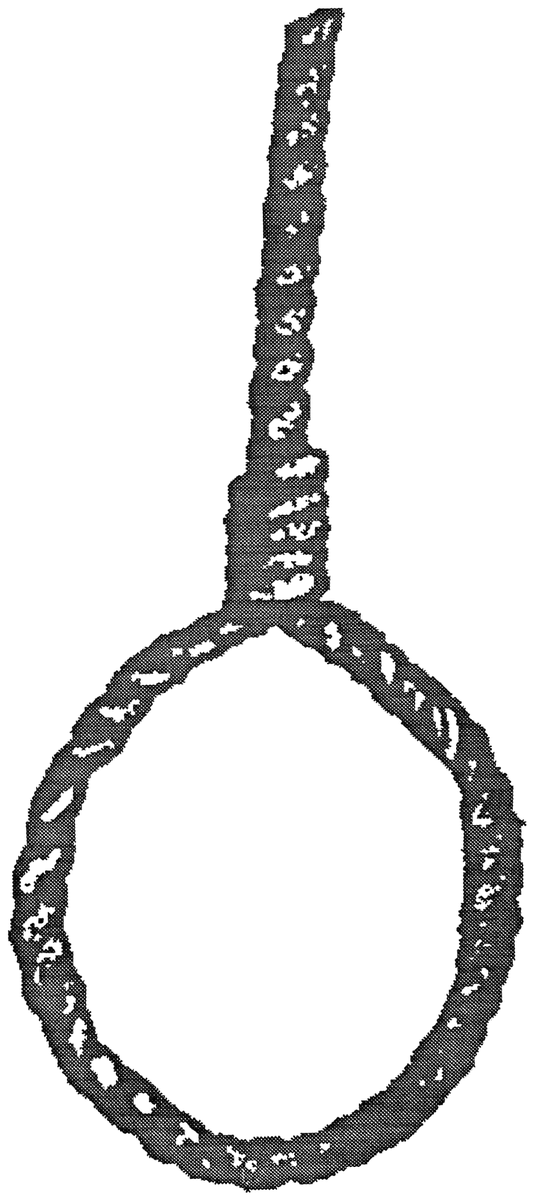 Noose drawing