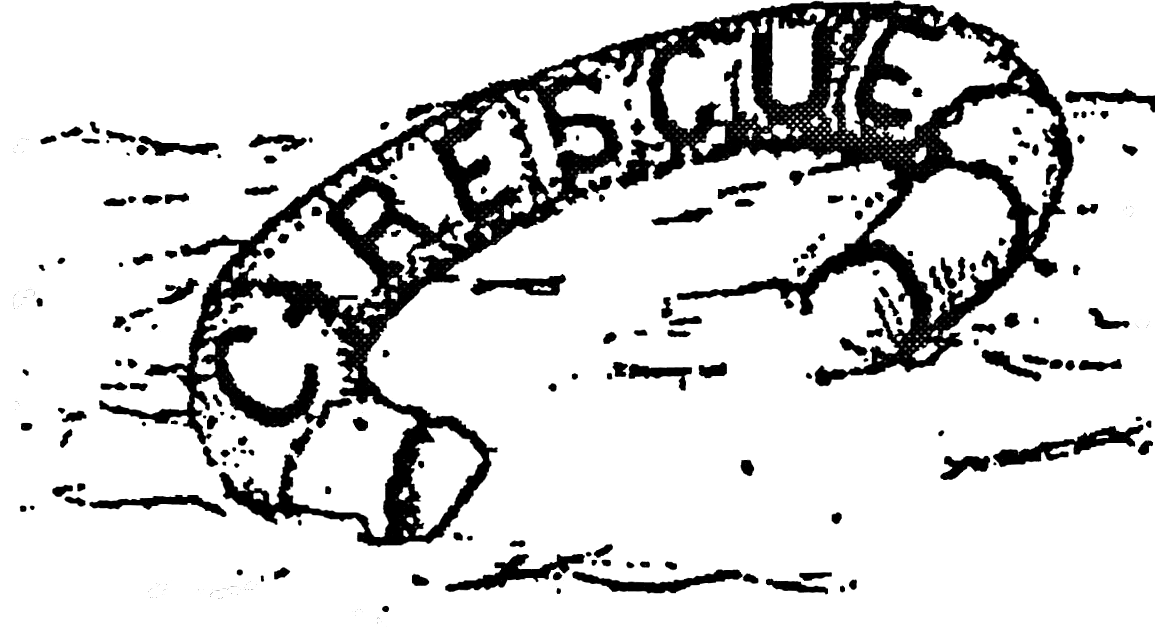 Life ring marked C-RESCUE floating in water